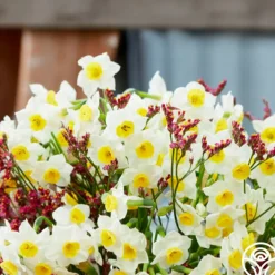 Avalex>Heirloom Roses Online