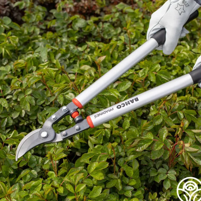 Bahco Superlight Orchard Lopper 24">Heirloom Roses Online