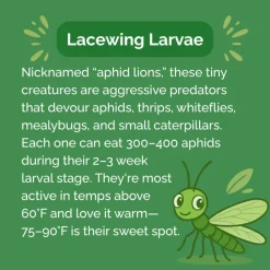 Beneficial Insect Subscription><noscript><img width=