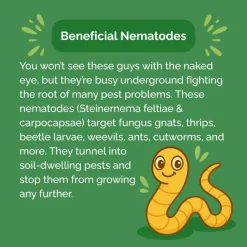 Beneficial Insect Subscription><noscript><img width=
