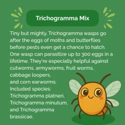 Beneficial Insect Subscription><noscript><img width=