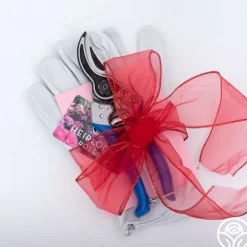 Bloom & Prune Gift Set>Heirloom Roses