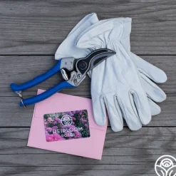 Bloom & Prune Gift Set><noscript><img width=