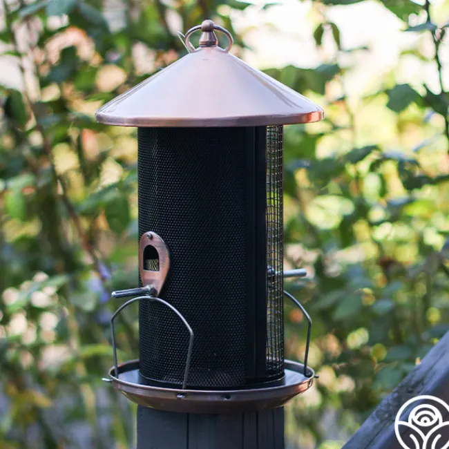 Copper Bird Feeder>Heirloom Roses Outlet