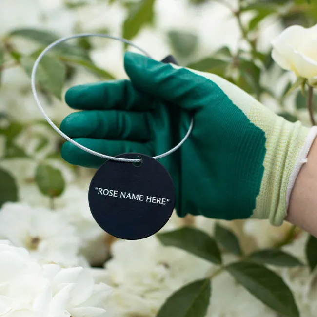 Cosmic Clouds Tag>Heirloom Roses Best