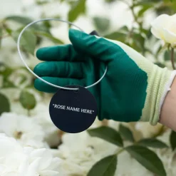 Crimson Rambler Tag><noscript><img width=