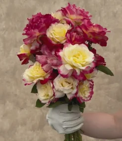 Double Delight®><noscript><img width=
