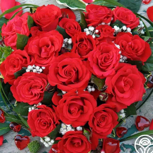 Eleganza® Grande Amore>Heirloom Roses Outlet