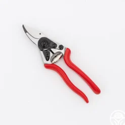 Felco 6 Pruners>Heirloom Roses Best