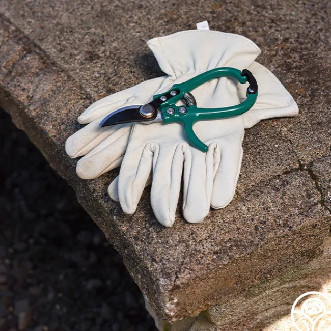Flora Bypass Pruners>Heirloom Roses