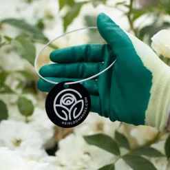 Fruity Petals™ Tag>Heirloom Roses New
