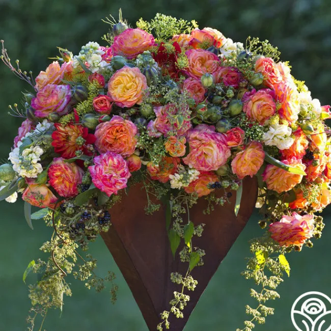 Garden Delight™>Heirloom Roses Discount