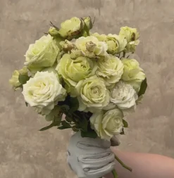 Green Romantica®><noscript><img width=