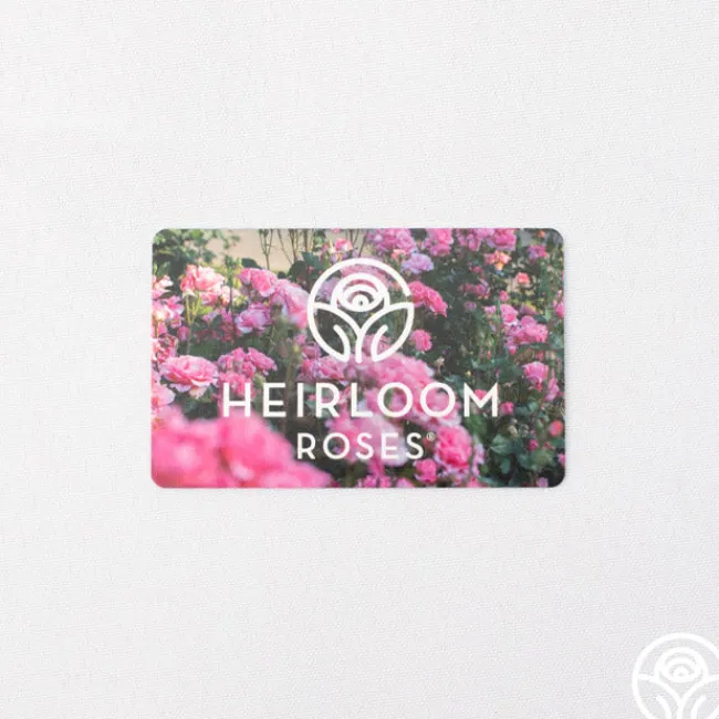 Gift Card (Tangible)>Heirloom Roses Discount