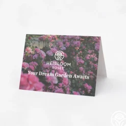 Gift Card (Tangible)><noscript><img width=