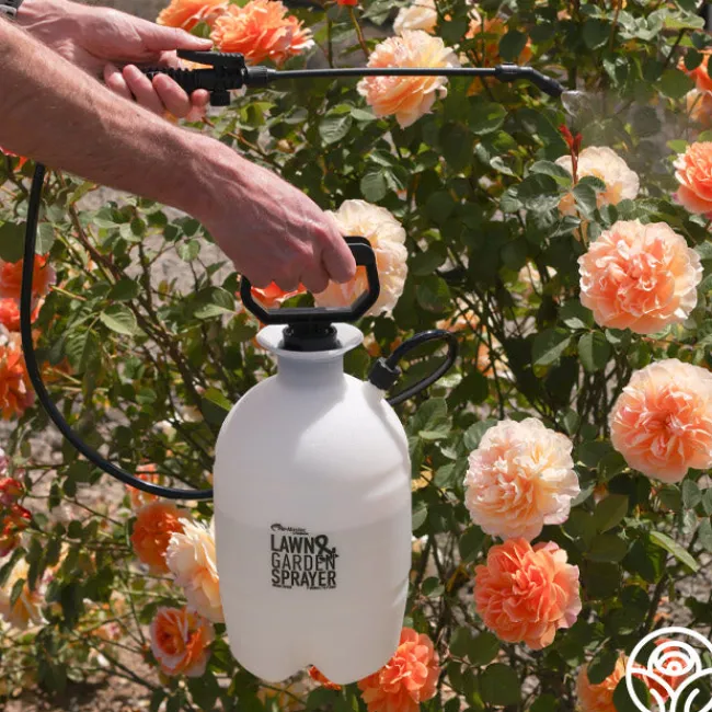 Hudson® RL FloMaster Sprayer>Heirloom Roses Online