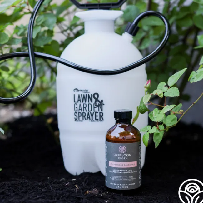 Hudson® RL FloMaster Sprayer>Heirloom Roses Online