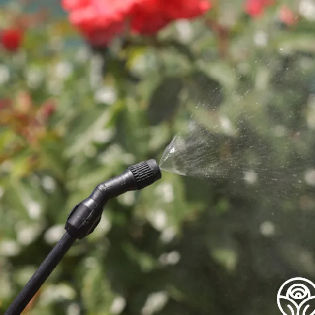 Hudson® RL FloMaster Sprayer>Heirloom Roses Online