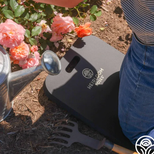 Large Kneeling Pad>Heirloom Roses Outlet