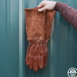 Long Pruning Gloves><noscript><img width=