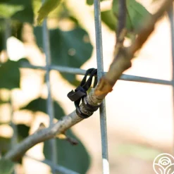 LoopLock Garden Ties><noscript><img width=