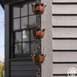 Lotus Rain Chain>Heirloom Roses Sale