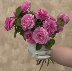 Louise Odier><noscript><img width=
