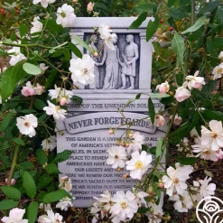 Never Forget Rose®>Heirloom Roses