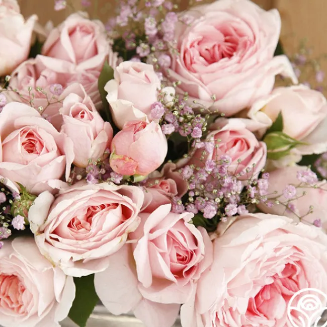 Parfuma® Bliss>Heirloom Roses Best