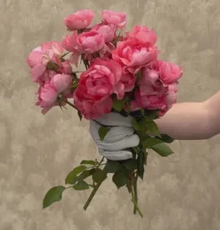 Passionate Kisses®><noscript><img width=