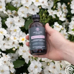 Pure Protect by>Heirloom Roses