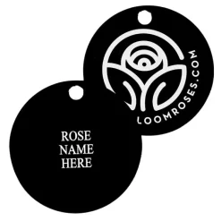 Queen Bee Tag>Heirloom Roses Best
