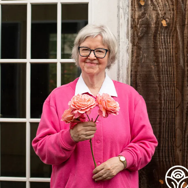 Reach for the Skies>Heirloom Roses Outlet