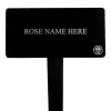 Sea Pearl Stake>Heirloom Roses
