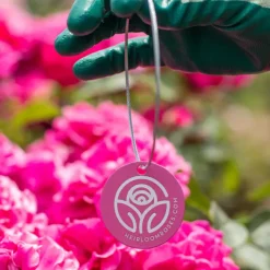 Sunbelt® Sierra Lady™ Tag><noscript><img width=