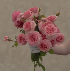 Tournament of Roses><noscript><img width=