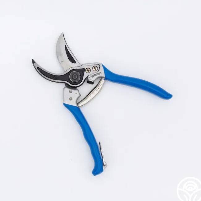 Vesco A1 Pruners>Heirloom Roses Sale