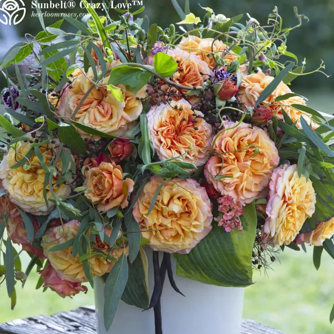 Vibrant Bouquet Collection>Heirloom Roses Best