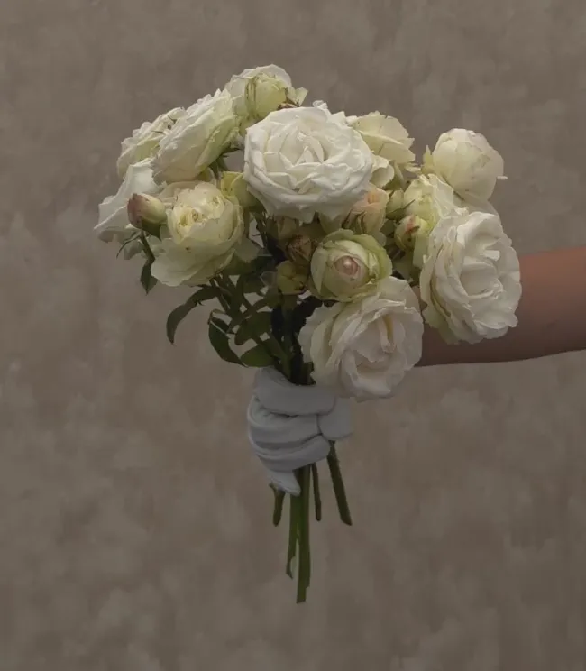 White Eden Climber®>Heirloom Roses Hot