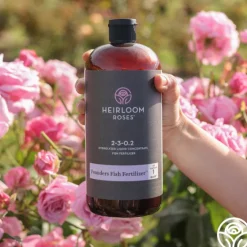Year Supply of Founder's Fish Fertilizer™>Heirloom Roses Online